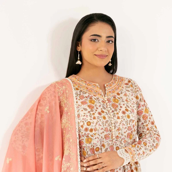 Printed Embroidered Suit