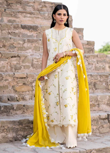 Printed Embroidered Suit